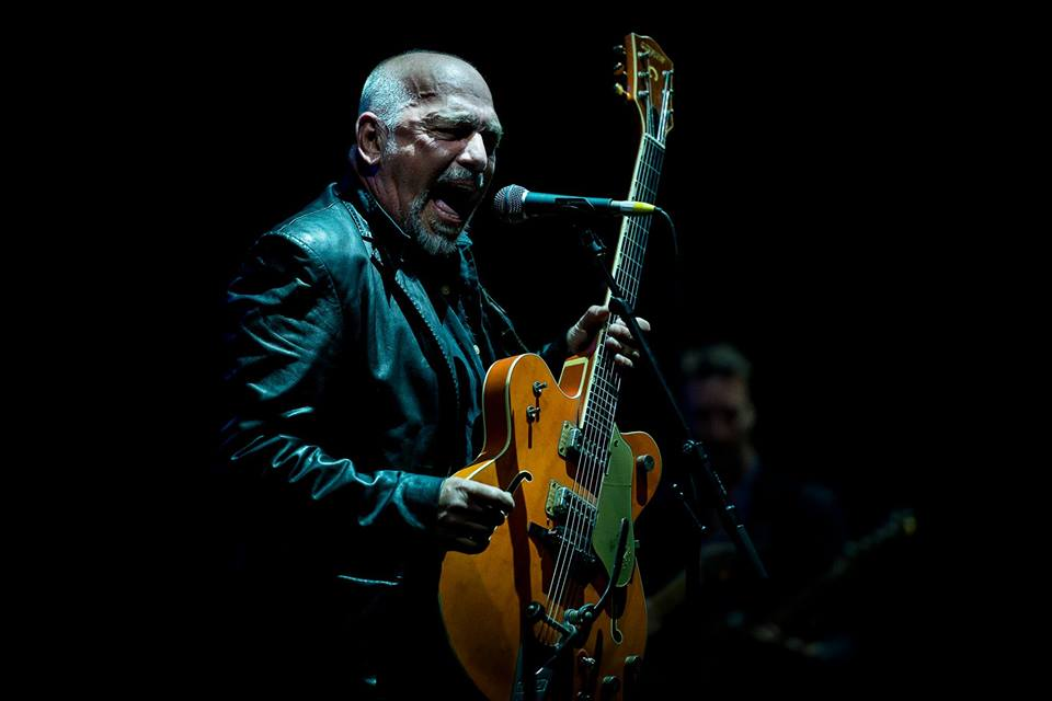 Live Shows: The Black Sorrows - Nov 21 - Doo-Bop Jazz Bar